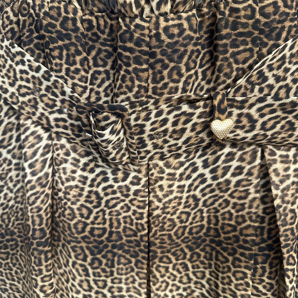 Zara leopard print, sheer blouse dress - Picture 7 of 8